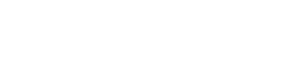 Bayan Translation professional language services